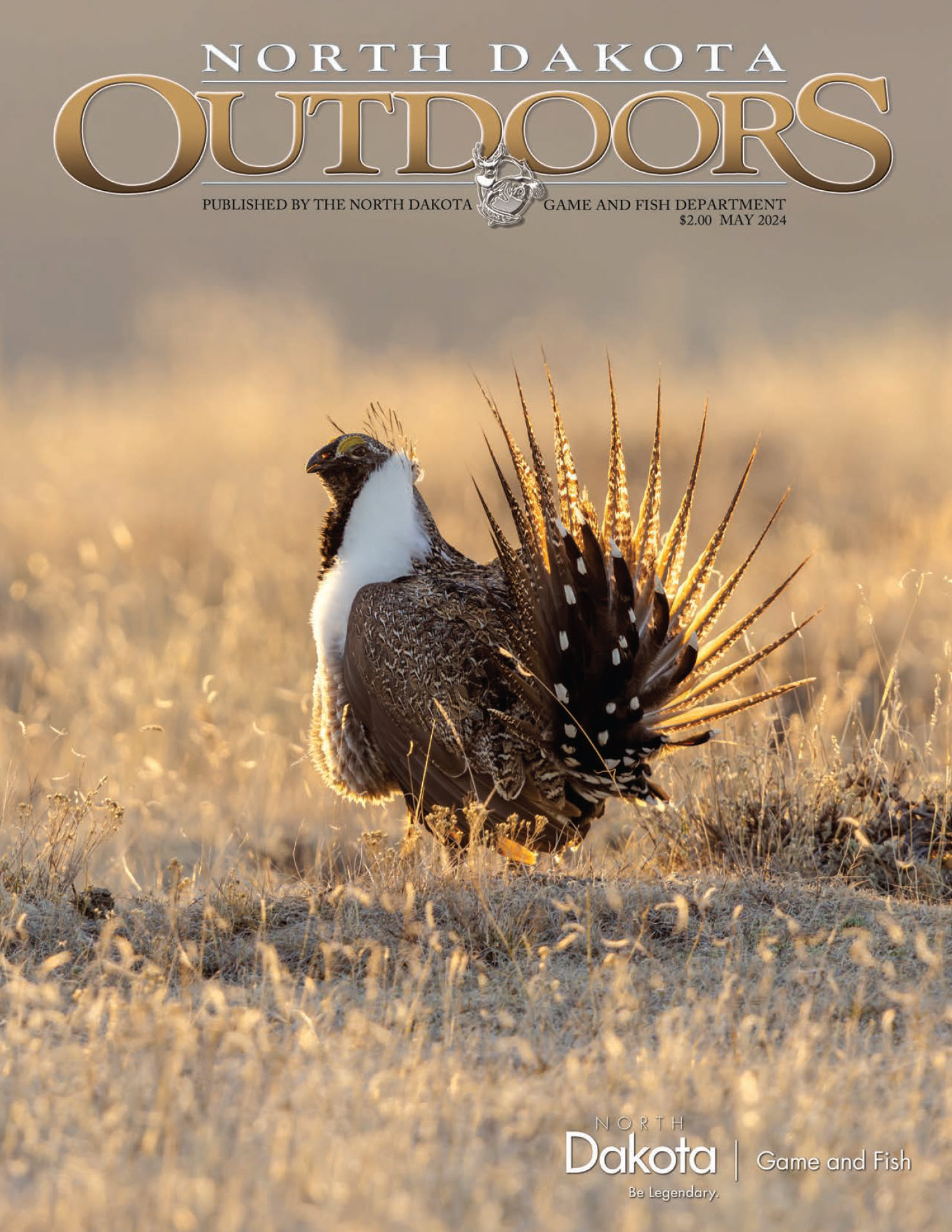 Sage grouse displaying - Cover of May 2024 NDO